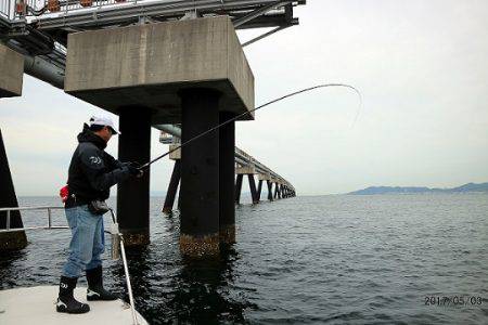 フルコンタクト 釣果