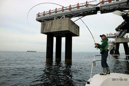 フルコンタクト 釣果