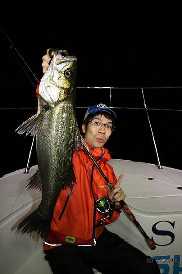 フルコンタクト 釣果