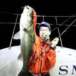 フルコンタクト 釣果