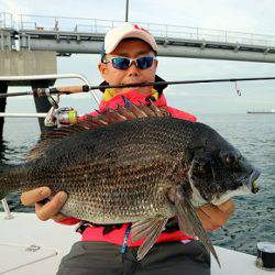 フルコンタクト 釣果