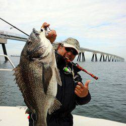 フルコンタクト 釣果