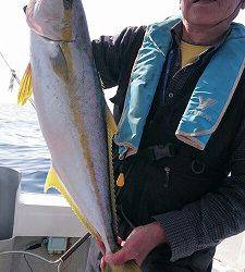 海龍丸（福岡） 釣果