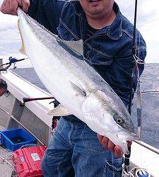 海龍丸（福岡） 釣果