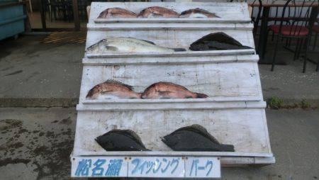 松名瀬フィッシングパーク 釣果