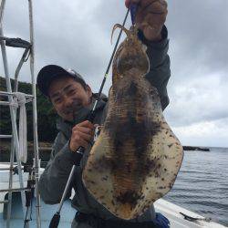 マタウマリンサービス 釣果