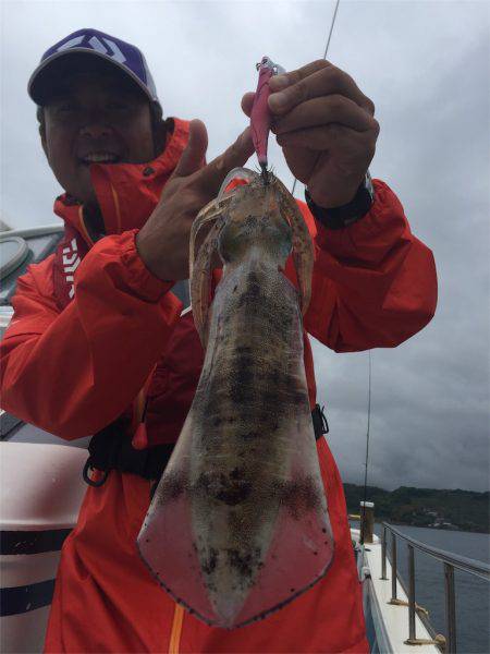 マタウマリンサービス 釣果