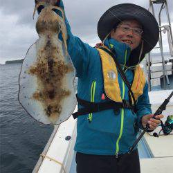 マタウマリンサービス 釣果