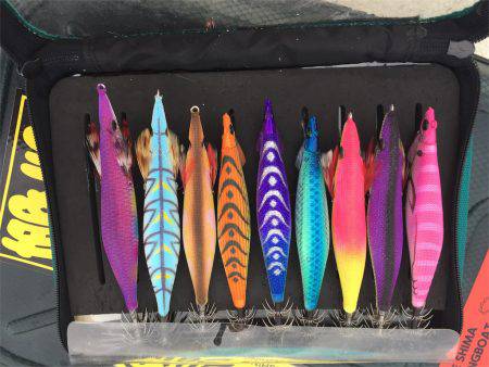 マタウマリンサービス 釣果