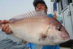 茂吉丸 釣果