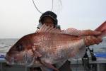 茂吉丸 釣果
