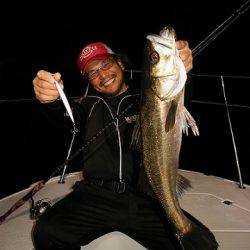 フルコンタクト 釣果