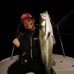 フルコンタクト 釣果