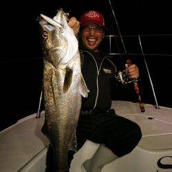 フルコンタクト 釣果