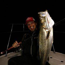 フルコンタクト 釣果