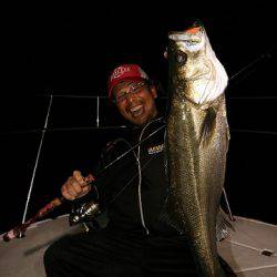 フルコンタクト 釣果