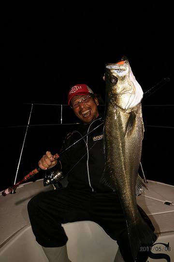 フルコンタクト 釣果