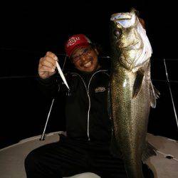 フルコンタクト 釣果