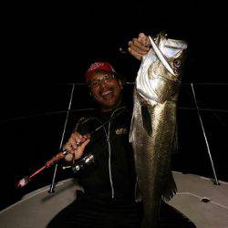 フルコンタクト 釣果