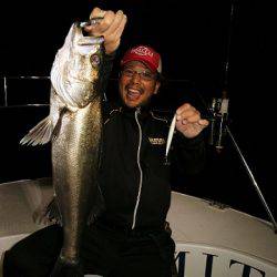 フルコンタクト 釣果