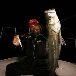 フルコンタクト 釣果