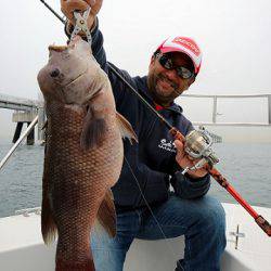 フルコンタクト 釣果