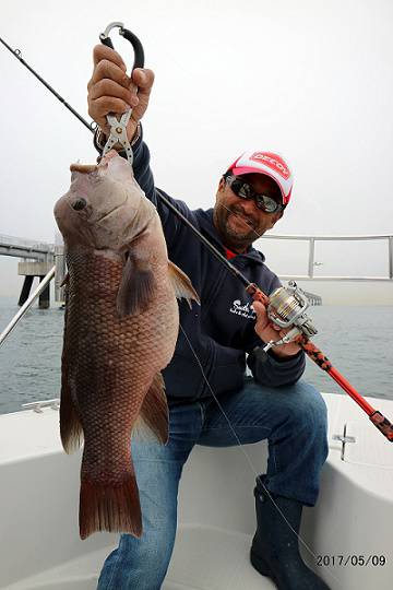 フルコンタクト 釣果