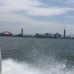 マタウマリンサービス 釣果