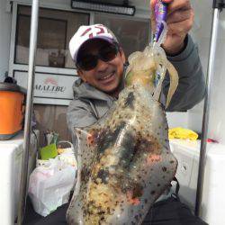 マタウマリンサービス 釣果