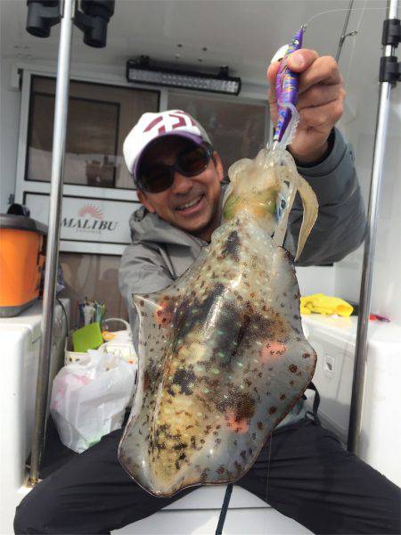 マタウマリンサービス 釣果