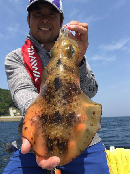 マタウマリンサービス 釣果