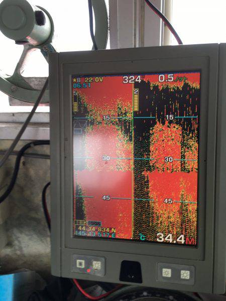 第八平成丸 釣果