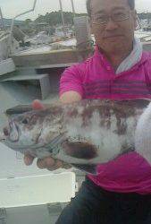桃太郎丸 釣果