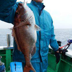 第三むつりょう丸 釣果