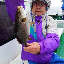 第三むつりょう丸 釣果