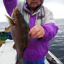 第三むつりょう丸 釣果