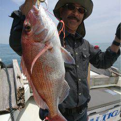 マタウマリンサービス 釣果