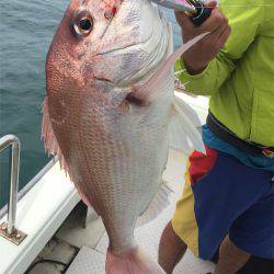 マタウマリンサービス 釣果