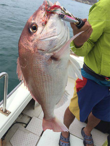 マタウマリンサービス 釣果