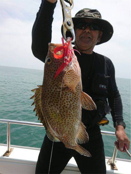 マタウマリンサービス 釣果