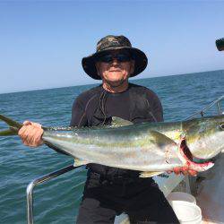 マタウマリンサービス 釣果