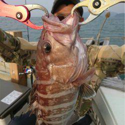 マタウマリンサービス 釣果