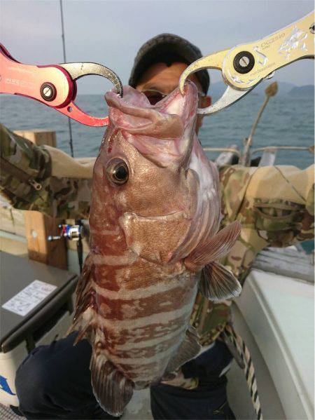 マタウマリンサービス 釣果