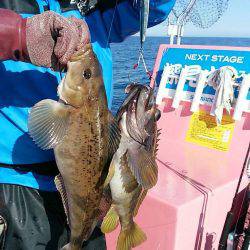 第八平成丸 釣果