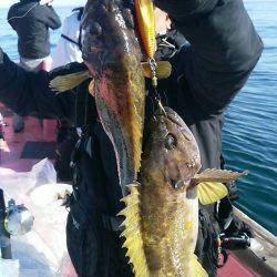 第八平成丸 釣果