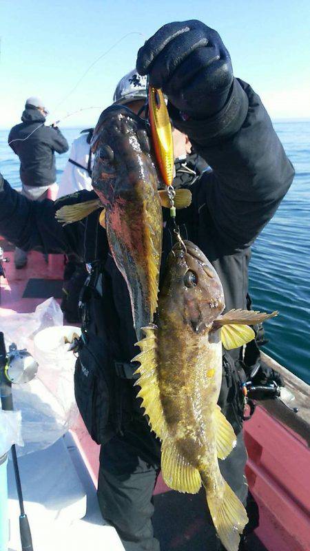 第八平成丸 釣果