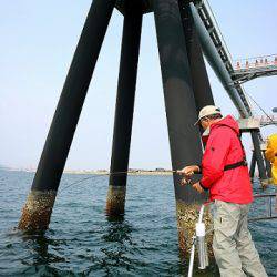 フルコンタクト 釣果