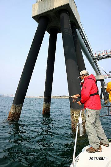 フルコンタクト 釣果