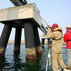 フルコンタクト 釣果