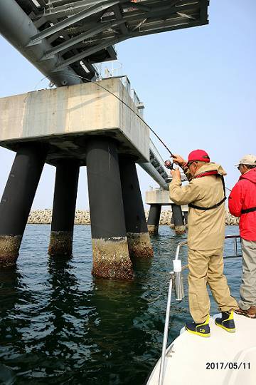 フルコンタクト 釣果